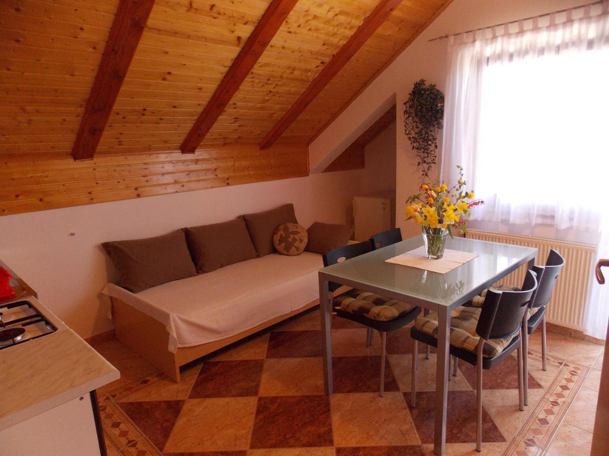 Apartments Smirnov Dreznik Grad Phòng bức ảnh
