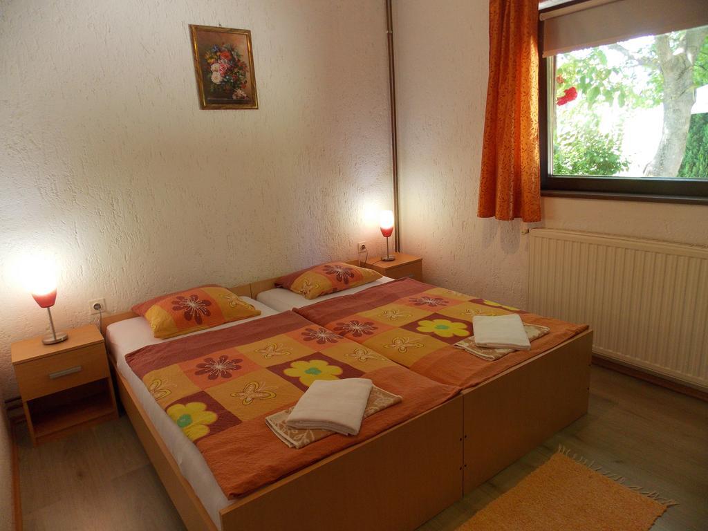 Apartments Smirnov Dreznik Grad Phòng bức ảnh