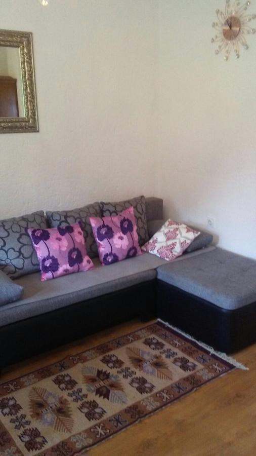 Apartments Smirnov Dreznik Grad Ngoại thất bức ảnh